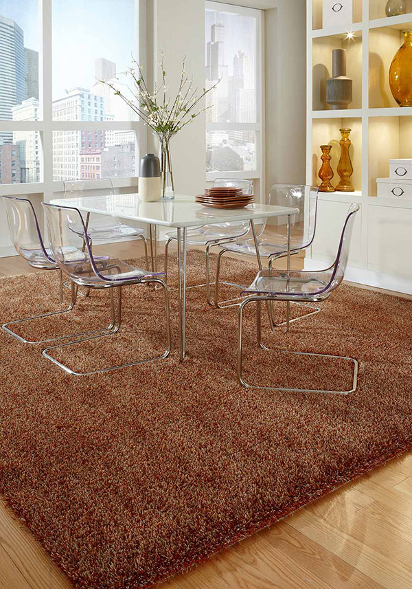 Light brown shag rug in dining room